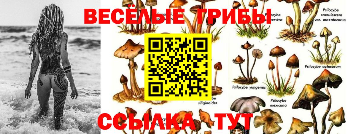 Галлюциногенные грибы MAGIC MUSHROOMS Бугуруслан