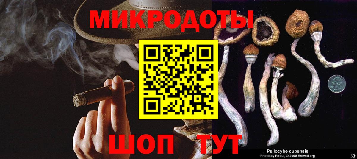 Псилоцибиновые грибы Psilocybe  Вход с VPN  Бугуруслан 